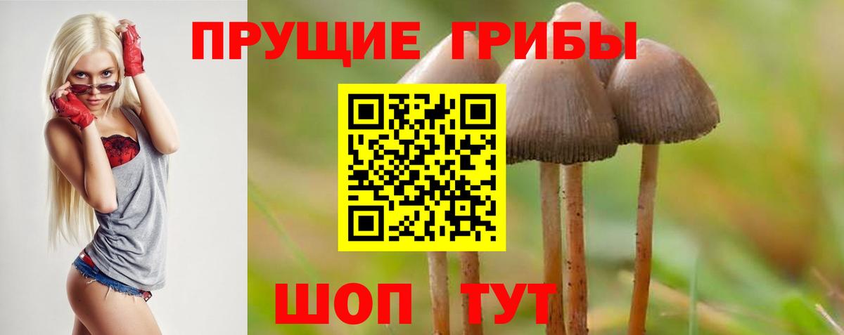 Каспийск  Галлюциногенные грибы прущие грибы  Вход с VPN 